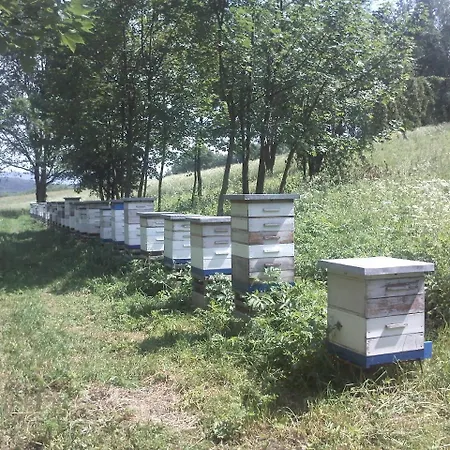 Nocleg ze śniadaniem Lenno We Wleniu