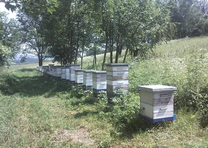 Nocleg ze śniadaniem Lenno We Wleniu